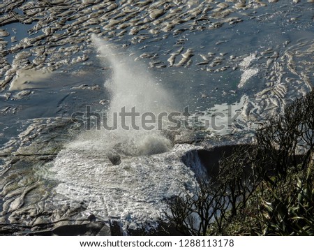 Sand, beach, cliffs, rolling ocean, gannet colonies, blue oceans and crashing waves await the visitors to muriwai