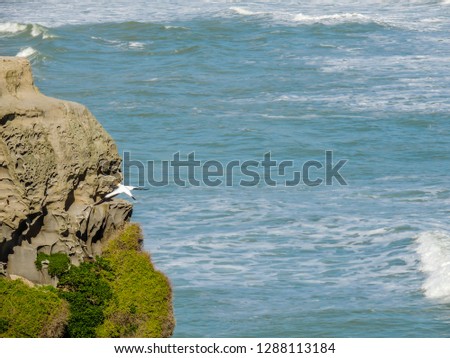 Sand, beach, cliffs, rolling ocean, gannet colonies, blue oceans and crashing waves await the visitors to muriwai