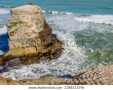 Sand, beach, cliffs, rolling ocean, gannet colonies, blue oceans and crashing waves await the visitors to muriwai