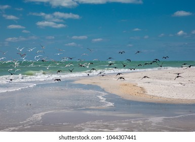 63 Egmont key Images, Stock Photos & Vectors | Shutterstock