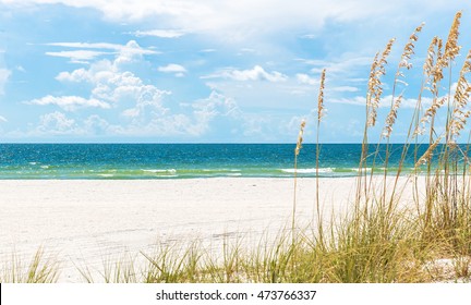 Sand Beach With Grass