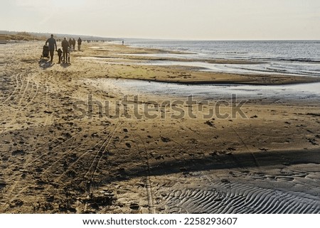 Similar – Foto Bild Rehi at Shortbeach kalt