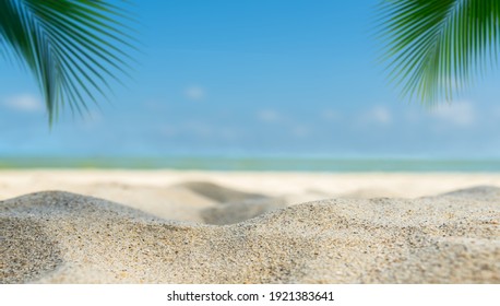 226,020 Beach blur background Images, Stock Photos & Vectors | Shutterstock