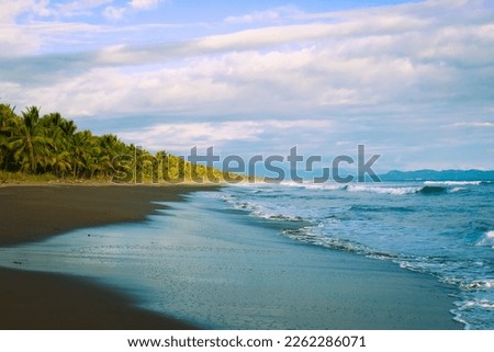 A sand beach with a thick forest of palm trees on the coast of the Pacificocean,  Palosecobeach, Costa Rica 