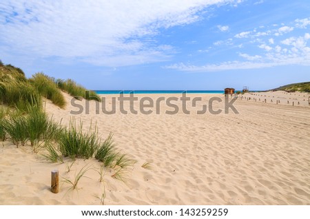 Sand beach turquoise sea bay view, Cala Mesquida, Majorca island, Spain