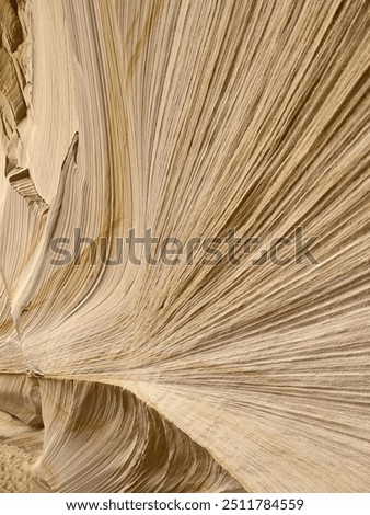 Sand cave textured wall pattern