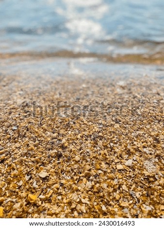 Sand and Corel reef particles in the beach sri lanka