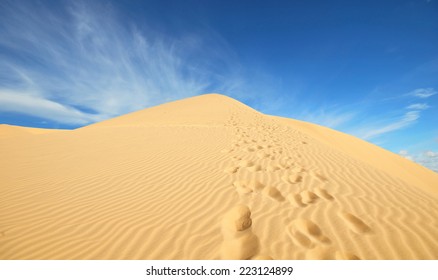 sand desert 