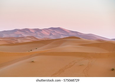 sand desert  - Shutterstock ID 575068729