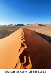 Sand Dune 45 in Namibia