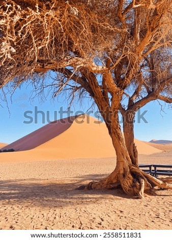 Sand Dune 45 in Namibia