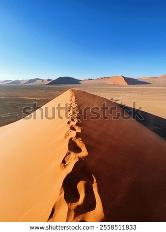Sand Dune 45 in Namibia