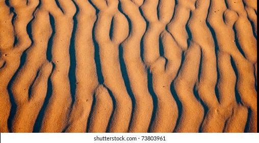 Sand Dune Abstract - Cumberland Island