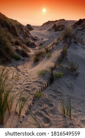 Sand Dune In The Bay Of Authie