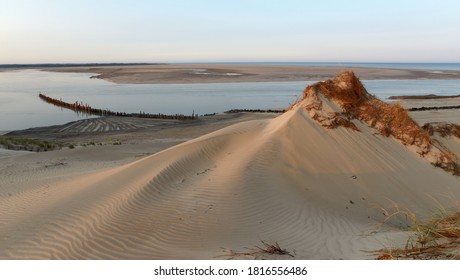 Sand Dune In The Bay Of Authie