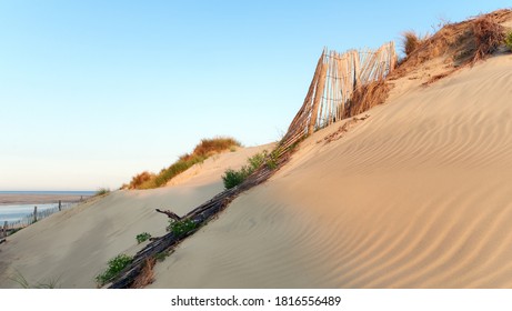 Sand Dune In The Bay Of Authie