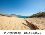 Sand dune of Bolonia beach, province Cadiz, Andalucia, Spain. With blue clear sky and mountains in the background. In front an old piece of beach wood. Tarifa area.