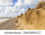 Sand dune cliff at Walberswick beach, and possible landfall area for the National Grid LionLink programme. Suffolk. UK