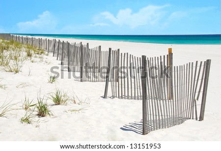 Sand dune fence and grasses at pretty beach