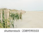 Sand Dune fence on the coast of Edisto Island SC