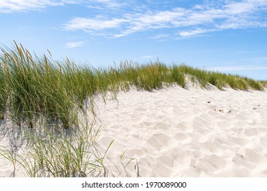 Sand Dune With Dune Grass