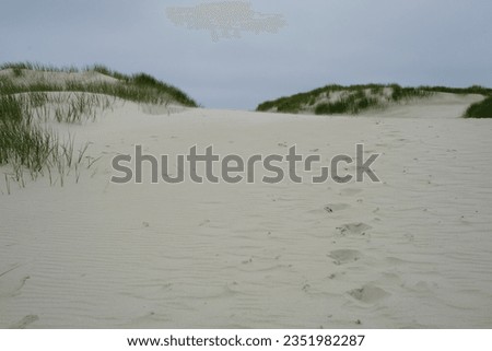sand dune on island footsteps grass                    