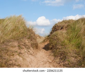 Sand Dune Path Near Beach 