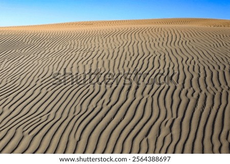 Sand dune with rippled wavy pattern caused by the movement of wind. At South Head, Kaipara District, Auckland Region, New Zealand.