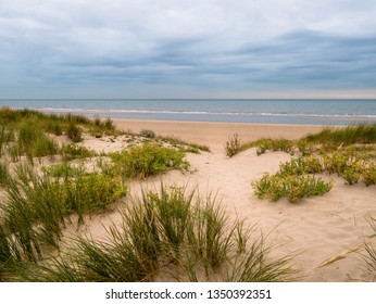 Sand dune with vegetation at the beach with view towards the North Sea - Powered by Shutterstock