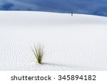 Sand Dune at White Sands National Monument, New Mexico, USA