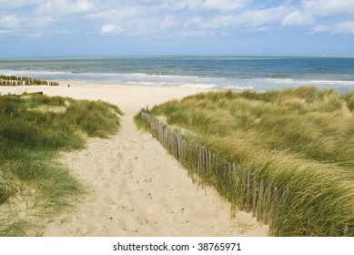 Sand Dunes Along The Belgian Coast