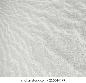 sand dunes in the background