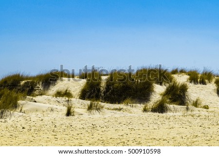 Similar – beach walk Calm