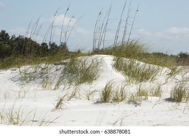 Sand Dunes With Beach Grasses At North Beach In Fort De Soto Park, St. Petersburg, Florida.