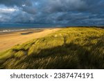 Sand dunes with beach and North Sea at sunset with dramatic storm clouds, Oostende, Flanders, Belgium.