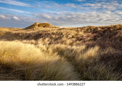 Sand Dunes At Braunton Burrows, North Devon