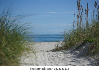 Sand And Dunes At Cape Canaveral Beach