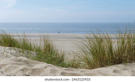 Sand dunes covered in tall grass gently slope down to the ocean, creating a tranquil scene with the sun setting in the background. - Powered by Shutterstock