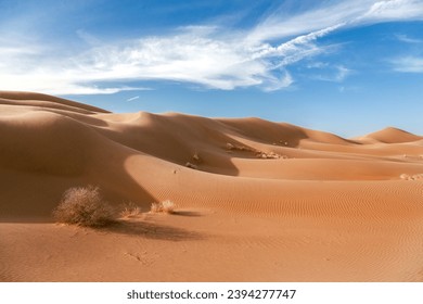 Sand dunes in desert areas, sand formations beauty of desert nature