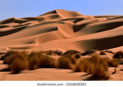 SAND DUNES AND DESERT LANDSCAPE IN THE SAHARA REGION IN ALGERIA - Shutterstock ID 2266828583