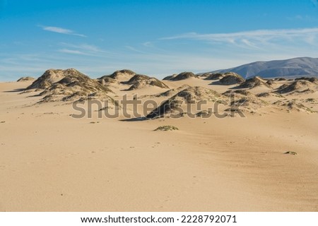 Sand dunes with dry plants, mountains and cloudy sky on background, California