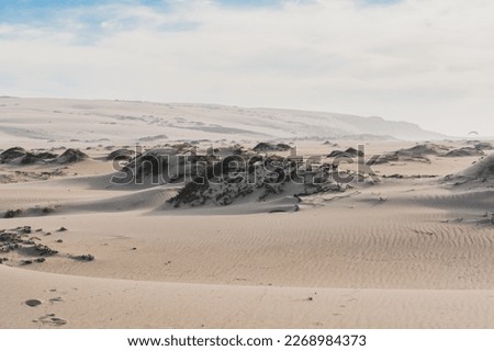 Sand dunes with dry plants, mountains and cloudy sky on background, California