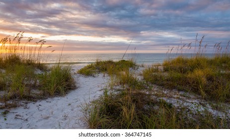 Sand Dunes At Dusk Clearwater Beach Florida