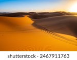 Sand dunes at Erg Chebbi Sahara desert at sunset near Merzouga town, Morocco, North Africa