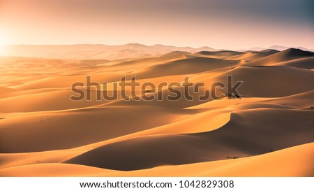 Sand dunes at gobi desert , Mongolia.