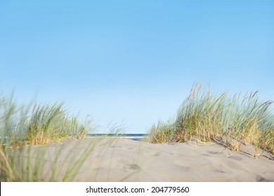 Wide Beach Dune Grass North Sea Stock Photo (Edit Now) 1639890307