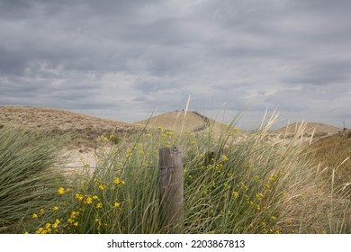 Sand Dunes With Grass And A Stormy Sky In Germany Baltic Sea