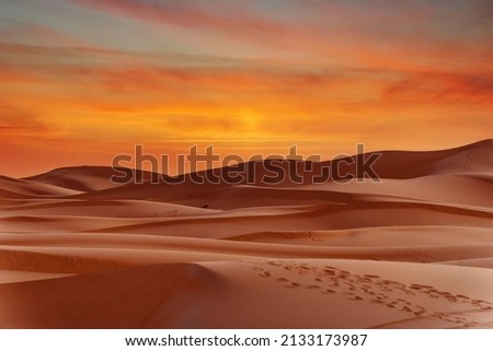 Sand dunes in the great Sahara desert in Morocco Stock foto © 