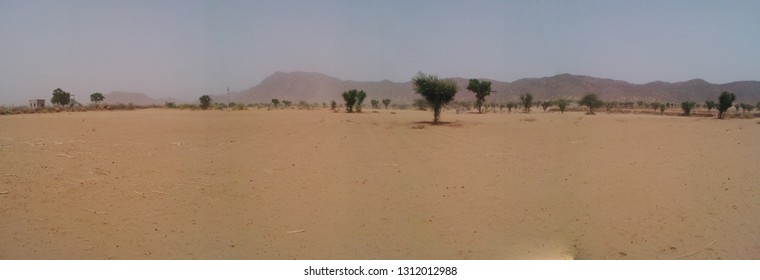 Sand Dunes, Green Forest, Fort, Aravalai Range Of Rajasthan Near Pushkar, District Nagaur