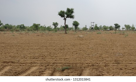 Sand Dunes, Green Forest, Fort, Aravalai Range Of Rajasthan Near Pushkar, District Nagaur